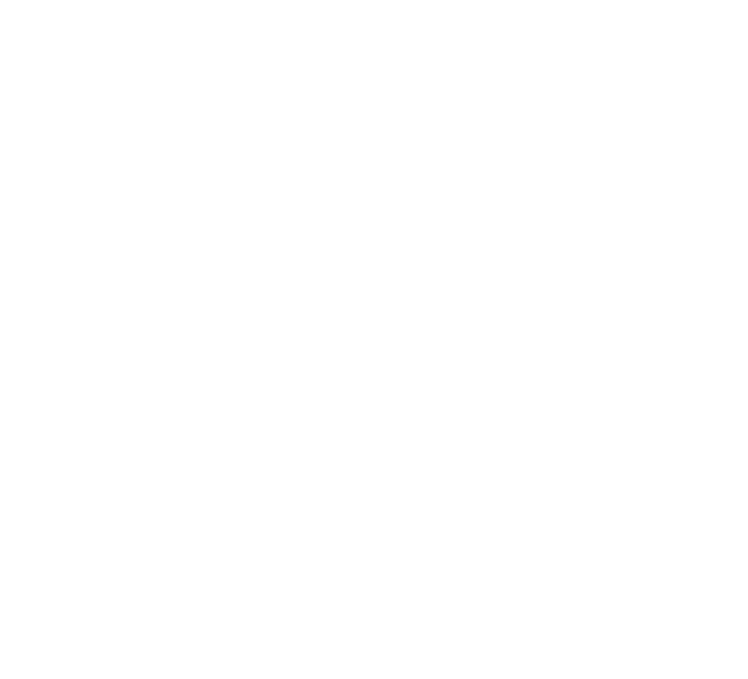 VHSMO